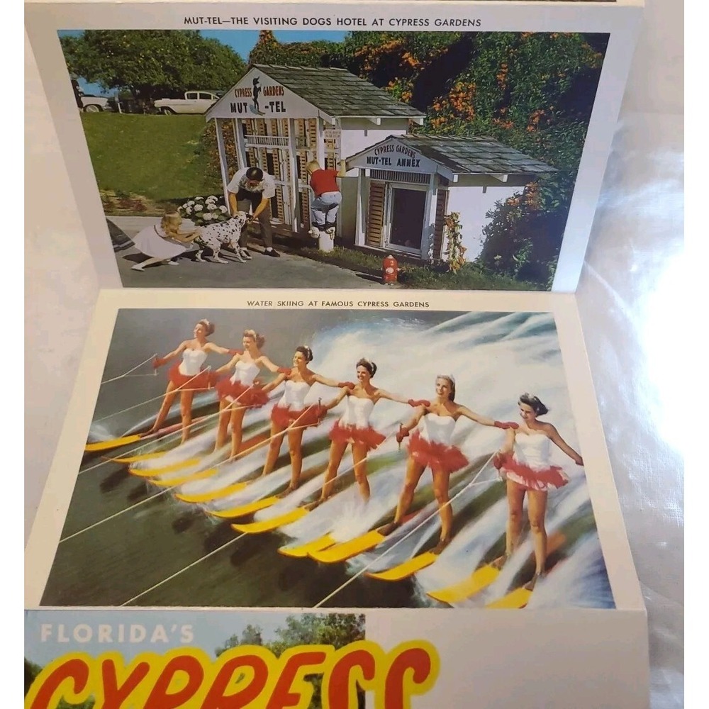 Vintage 1962 "Florida's‎ Cypress Gardens" Souvenir Folder Postcard